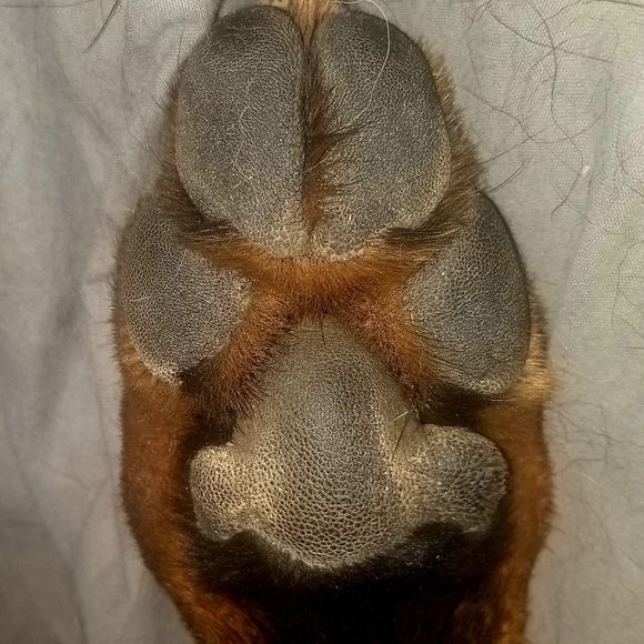 Meet your Posher, Kelly - Picture 1 of 1